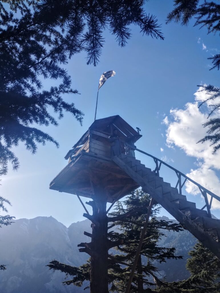 Taliban mountain treehouse